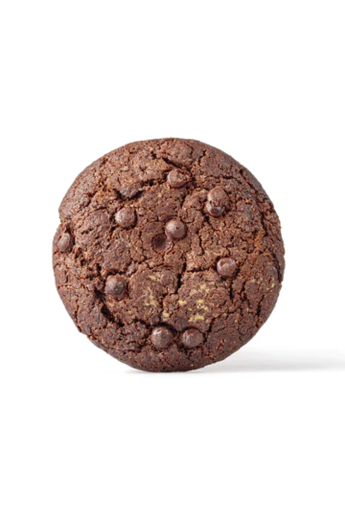 Chocolate Cookie